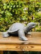 Turtle in stone
