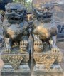 Temple lions 150cm